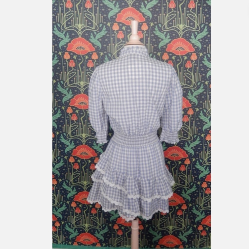 The Shirt Rochelle Behrens Brigitte Blue White Gingham Mini Dress - Picture 8 of 8